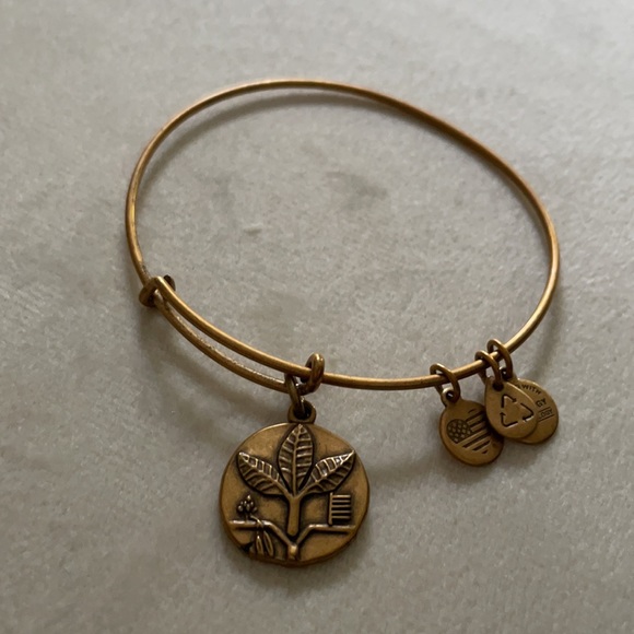 Alex and Ani Bracelet - Picture 2 of 4
